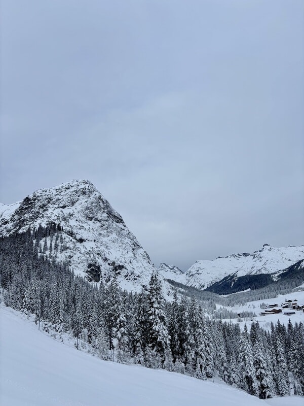 IMG_4340.jpeg
