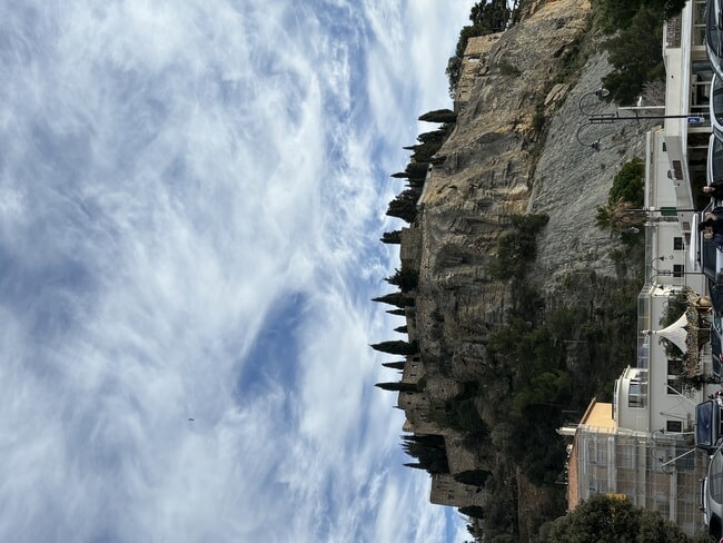 IMG_4346.jpeg