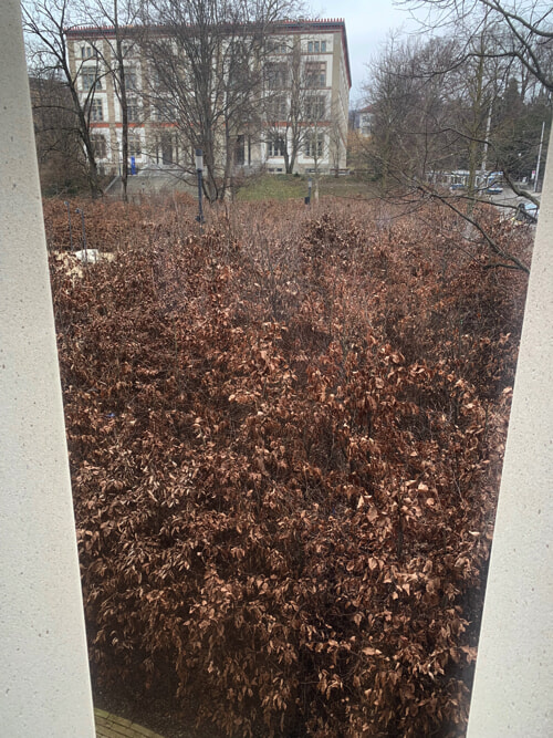 IMG_5770 copy.jpg