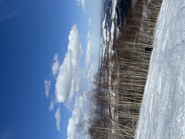 IMG_5889.jpeg