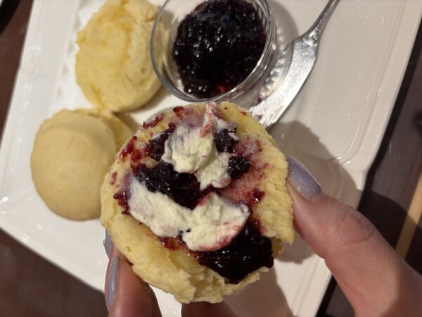 IMG_6017.jpeg