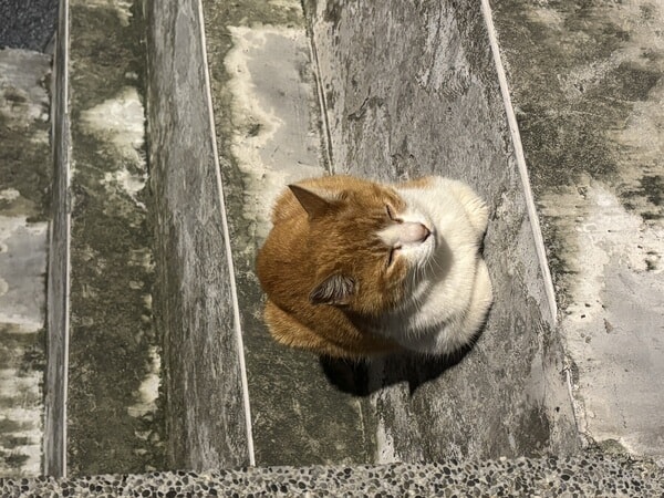 IMG_6683.jpeg