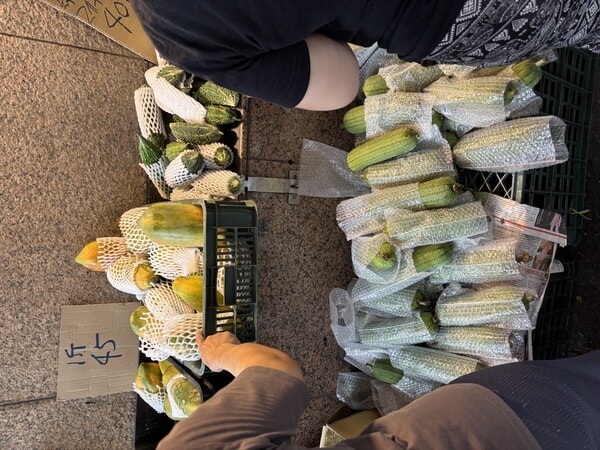 IMG_6755.jpeg