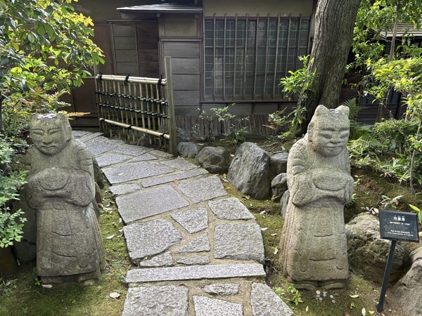 IMG_6956.jpeg