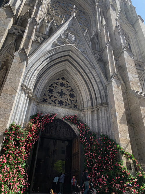 IMG_7740 copy.jpg