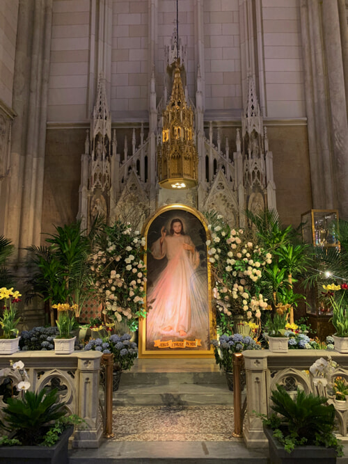 IMG_7753 copy.jpg