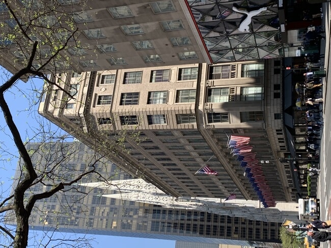 IMG_7937.jpeg