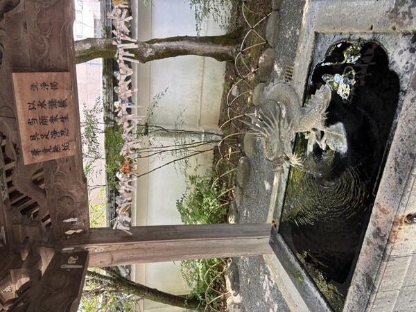 IMG_8108.jpeg