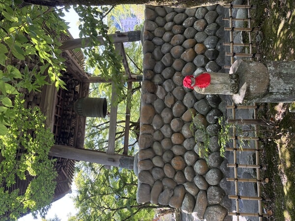 IMG_8120.jpeg