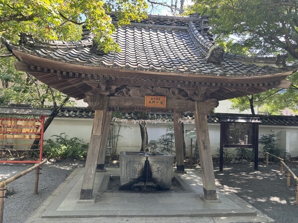 IMG_8122.jpeg