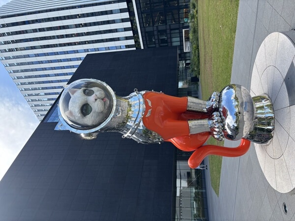 IMG_8703.jpeg