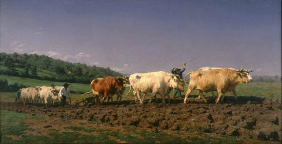 Rosa_Bonheur_-_Ploughing_in_Nevers_-_Google_Art_Project copy.jpg