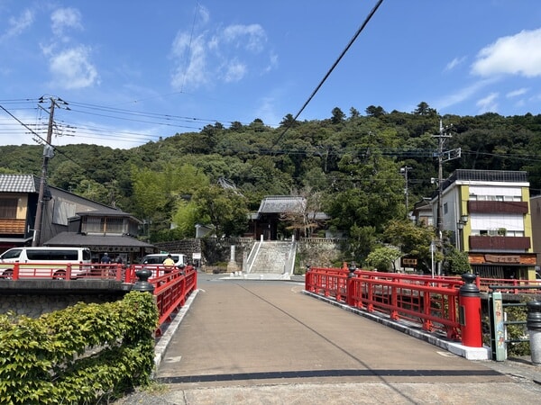 IMG_8104.jpeg