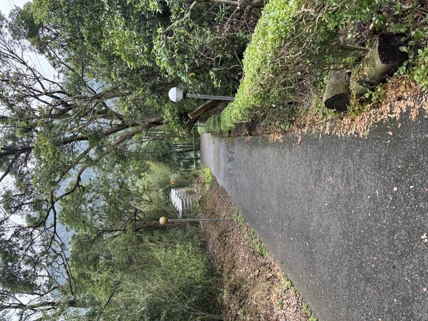 IMG_7161.jpeg