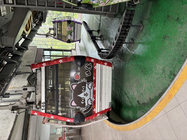IMG_7144.jpeg