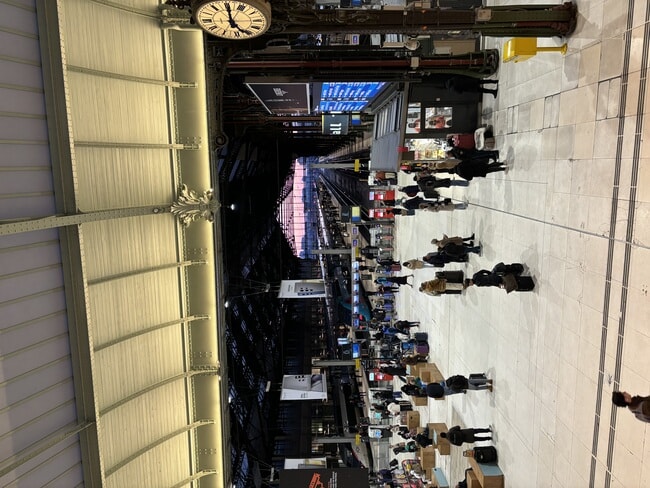 IMG_3917.jpeg