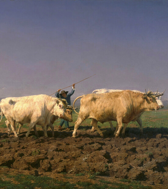 Rosa_Bonheur_-_Ploughing_in_Nevers_-_Google_Art_Project 2 copy.jpg