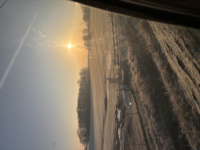 IMG_3925.jpeg