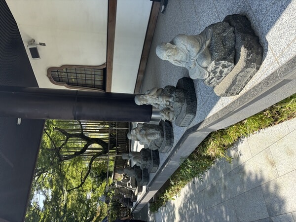 IMG_8118.jpeg