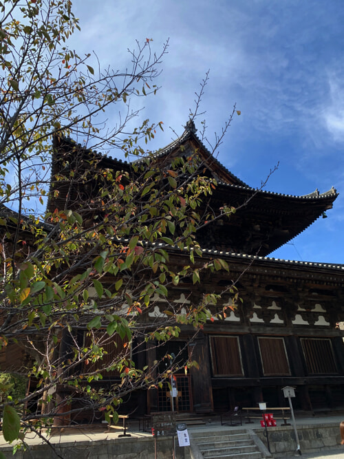 東寺☆世界遺産・ 真言宗総本山 教王護国寺｜Comme d'habitude 〜パリ・東京行ったり来たりblog〜｜Paris｜madame  FIGARO.jp（フィガロジャポン）