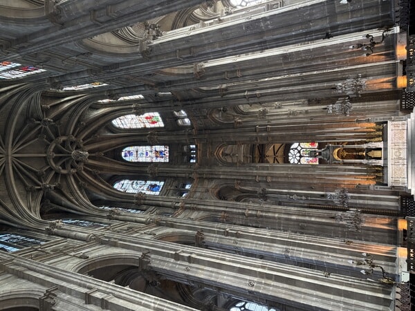 IMG_3585.jpeg