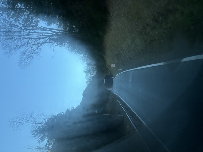 IMG_4818.jpeg