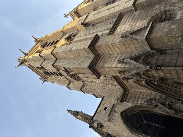 IMG_3625.jpeg