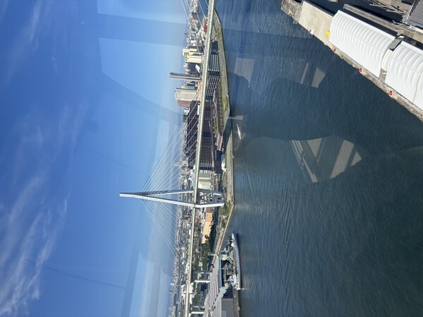 IMG_8638.jpeg