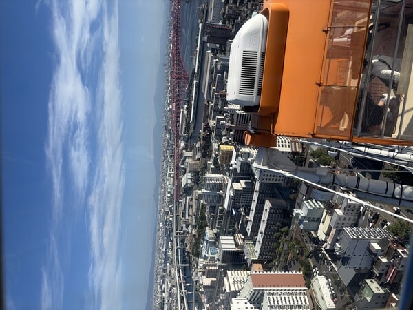 IMG_8639.jpeg