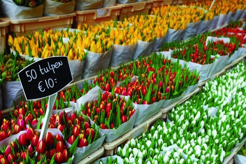 flower-market-amsterdam_high_rgb_955.jpg