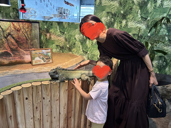 jvQomk9GLjq5XnN1759751478_1759751507 2.jpg