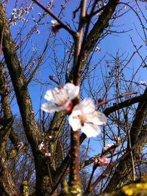 120404matsunaga_10.jpg