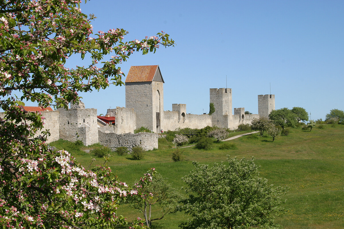 240826_sweden_gotland_07.jpg