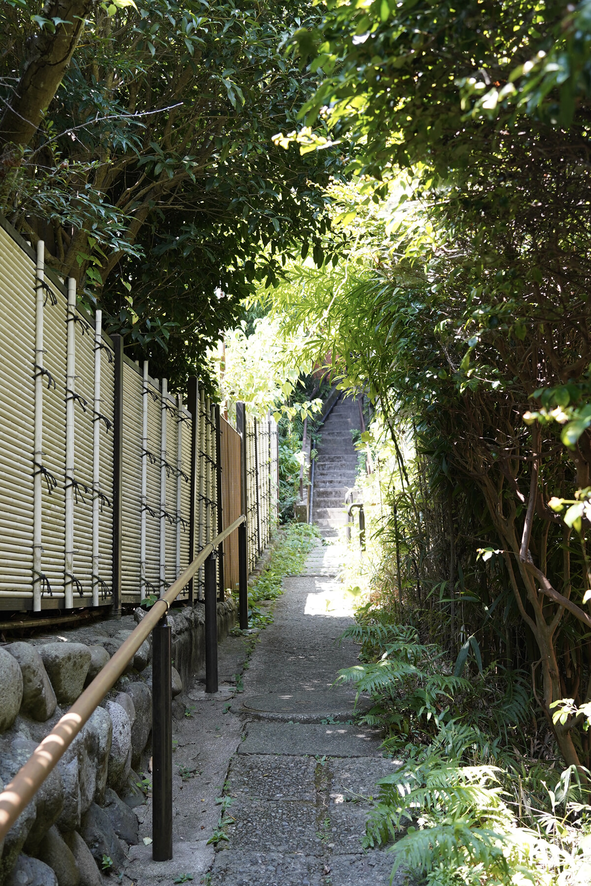 240905_kamakura_06.jpg