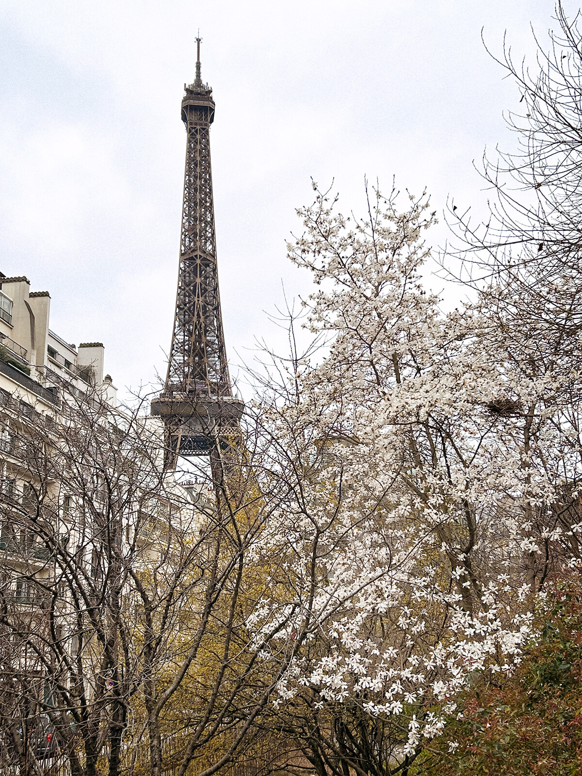 250324-paris-02.jpg