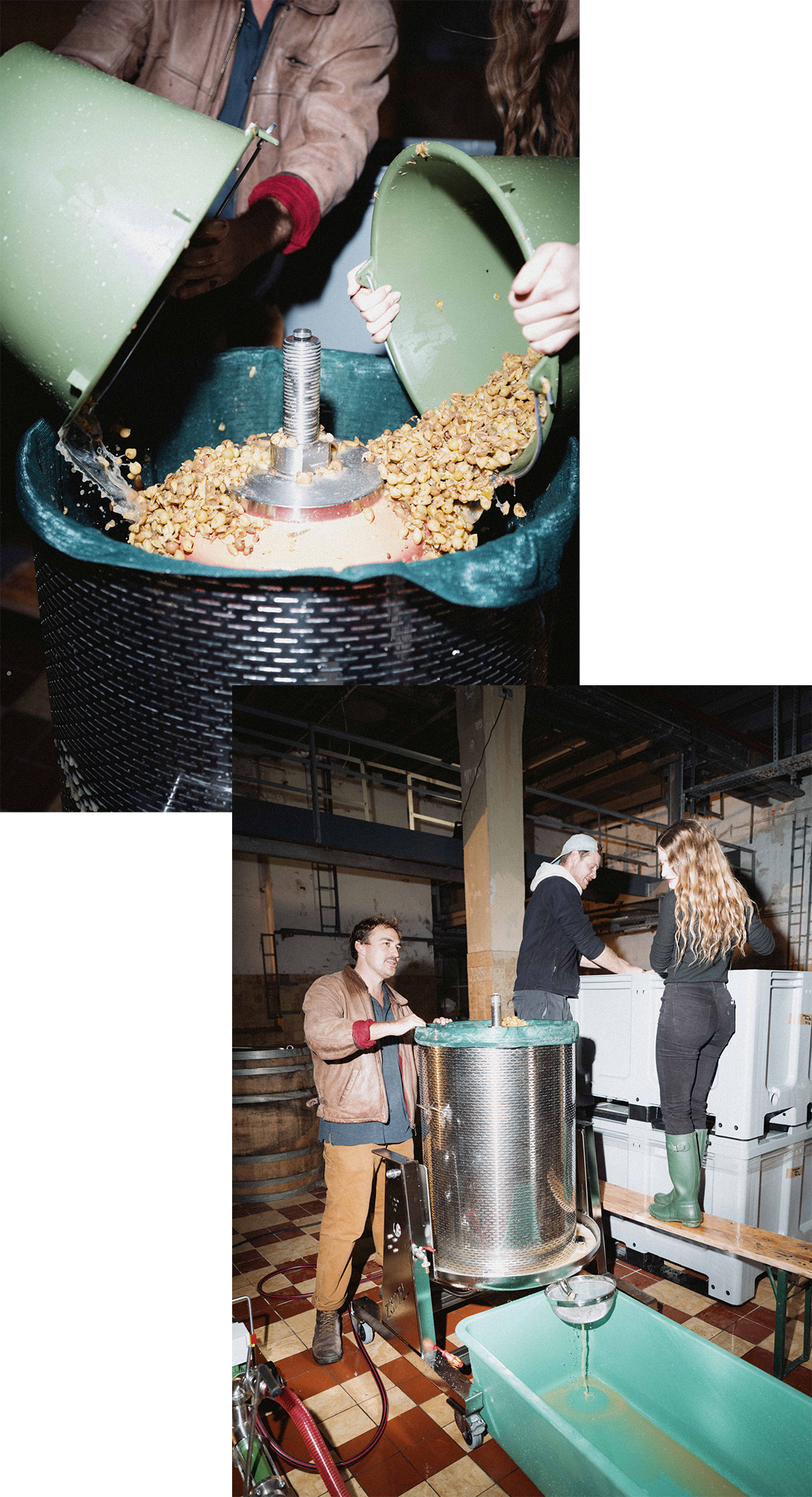 250815-germany-naturalwine-05.png