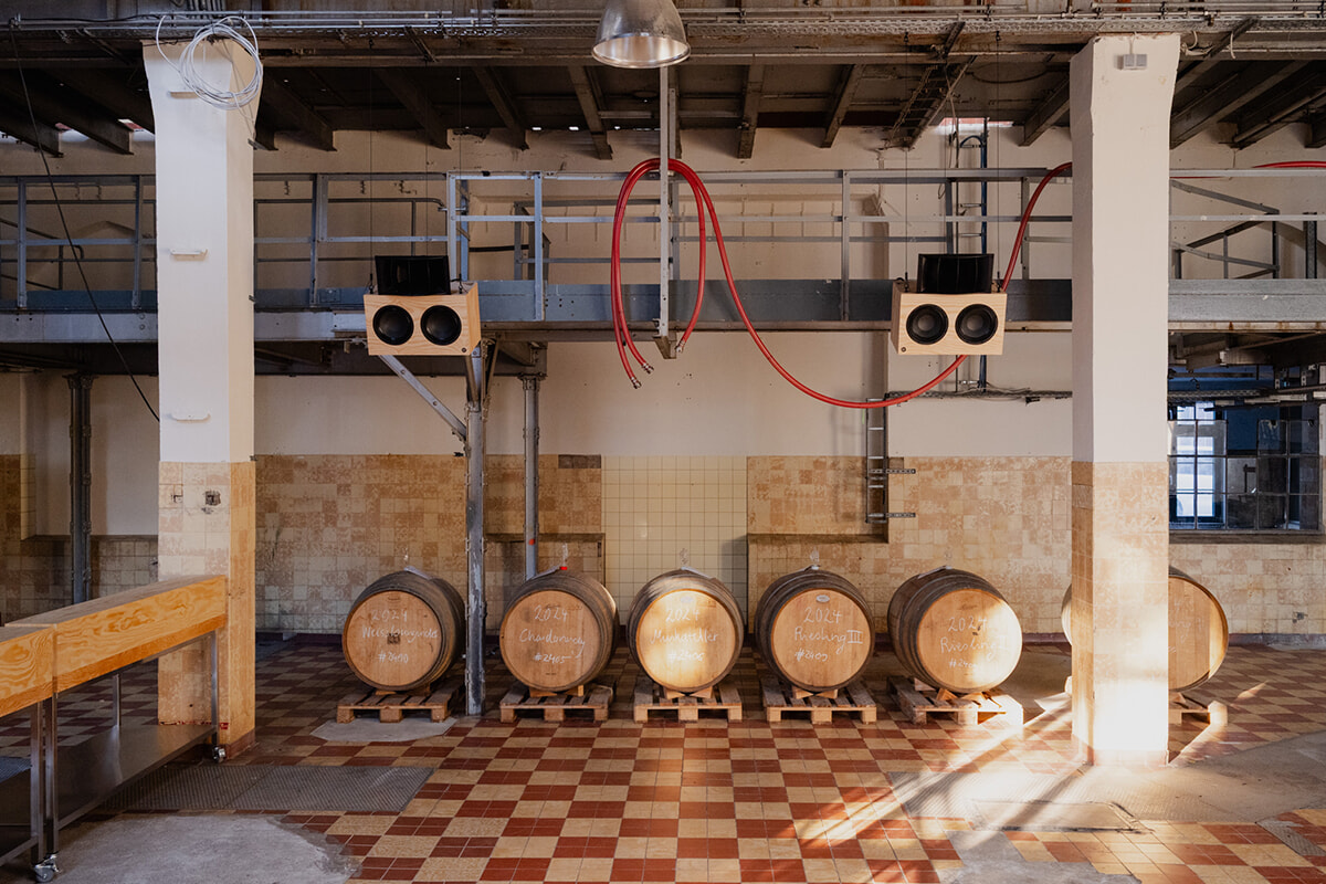 250815-germany-naturalwine-08.jpg