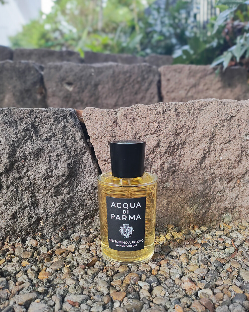 250922_acquadiparma_01.jpg
