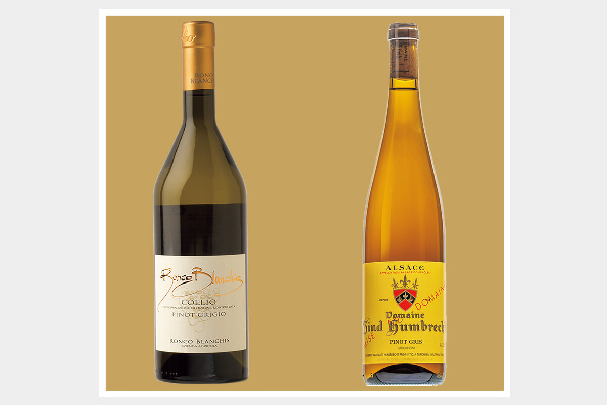 ピノ・ノワールの変異種「ピノ・グリ（ピノ・グリージョ）」とは？ アルザスとイタリア、産地で変わる味わいの特徴。