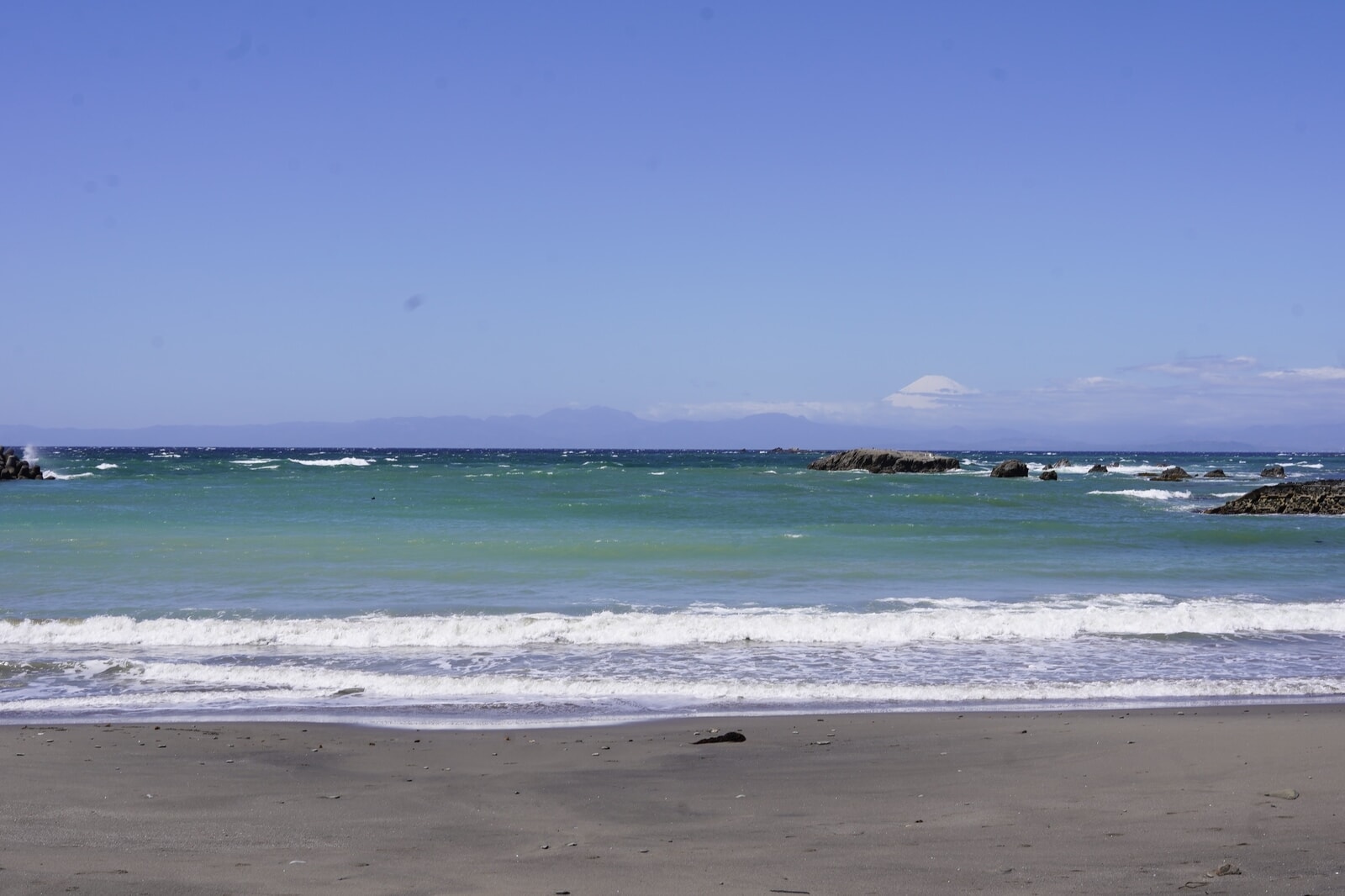 DSC05662d.jpg