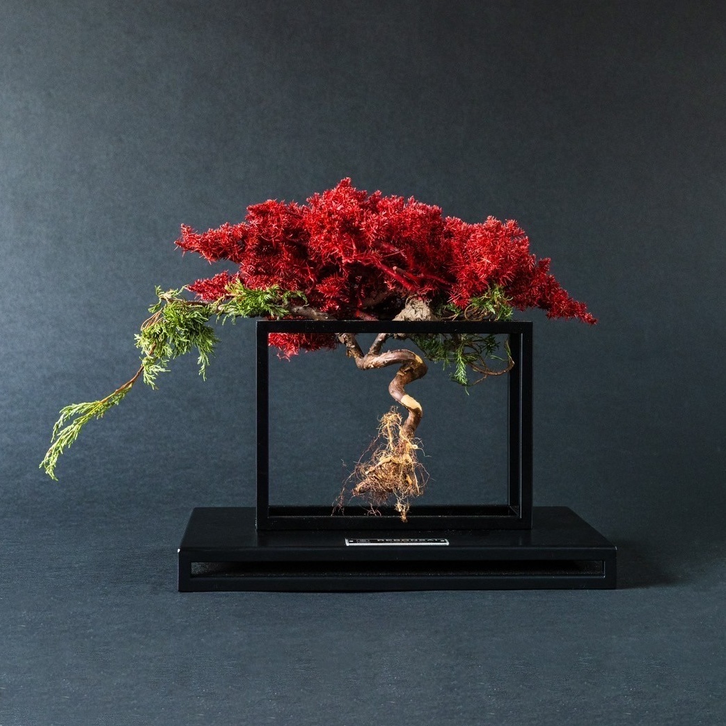 水やり不要の盆栽アート「RE BONSAI™」でインテリアをもっと美しく、個性的に。