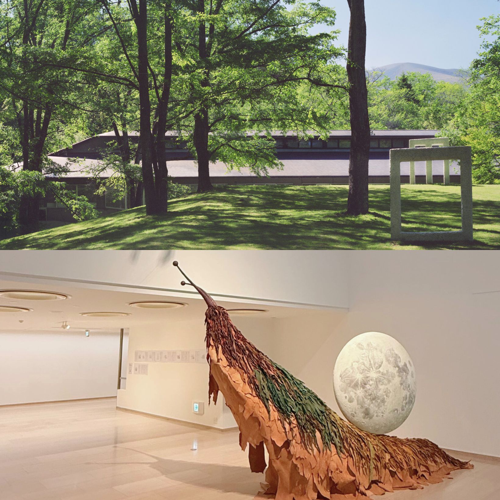 リニューアルしたセゾン現代美術館を訪問。一度は訪れるべき軽井沢のアート聖地。