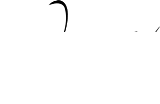 Ipsa