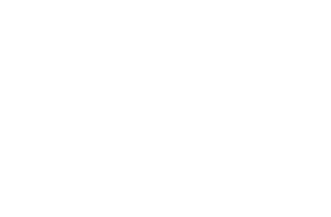 BURBERRY FREEDOM