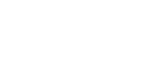 Michael Kors Collection
