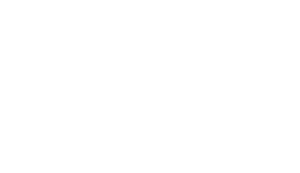 Michael Kors Collection