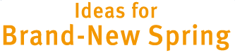 Ideas for Brand-New Spring