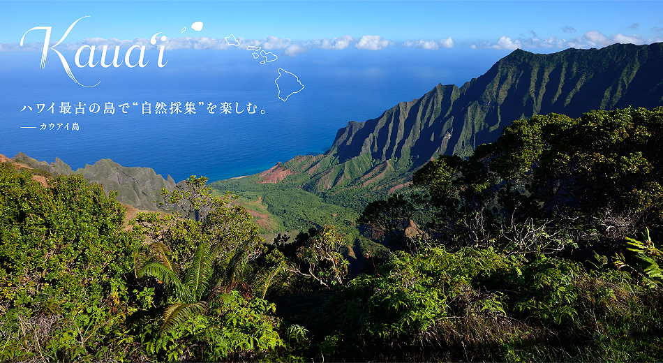 Kauai ハワイ最古の島で'自然採集'を楽しむ。