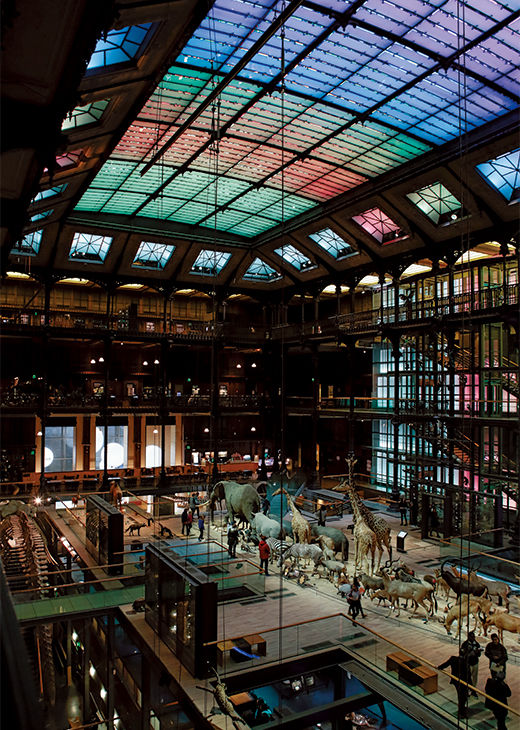 paris-201405-22-museumnationald'histoirenaturelle-04.jpg