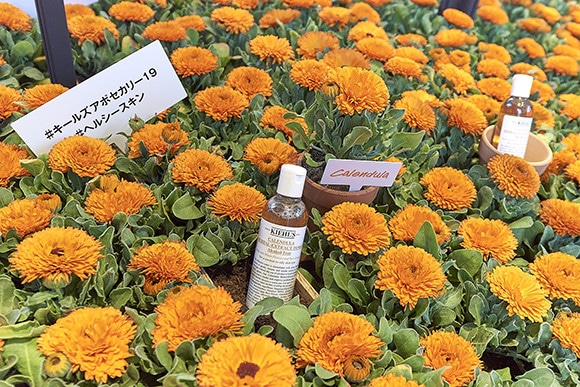 03-kiehls-news-190301.jpg
